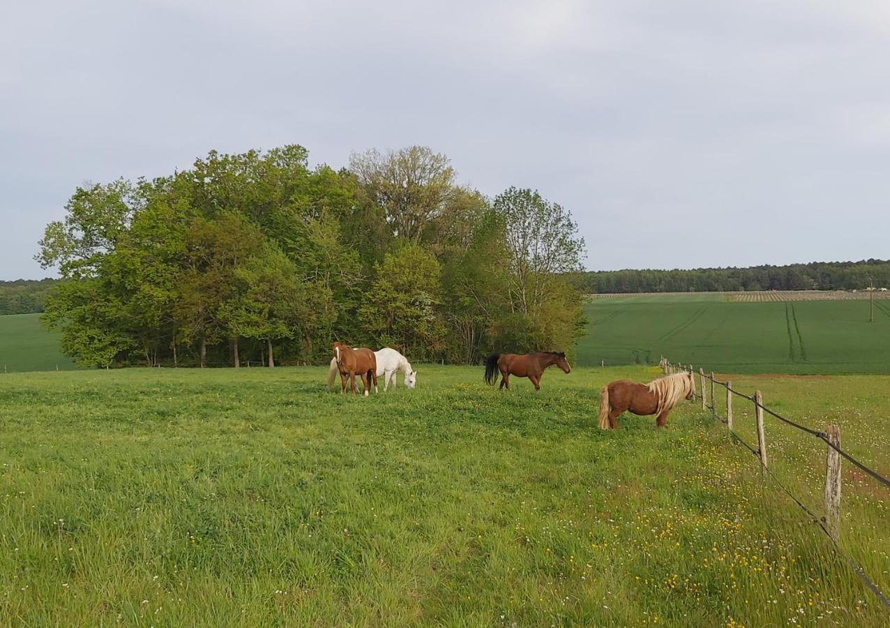 Les Pres Du Petit Morlu - Proche Beauval Villa Saint-Romain-sur-Cher Екстериор снимка